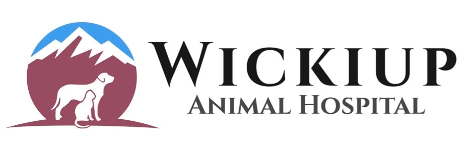 Wickiup Animal Hospital